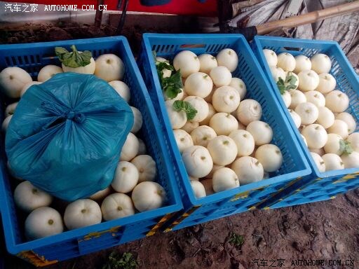 【图】想买白豪拉甜瓜,整筐的,能装几筐?