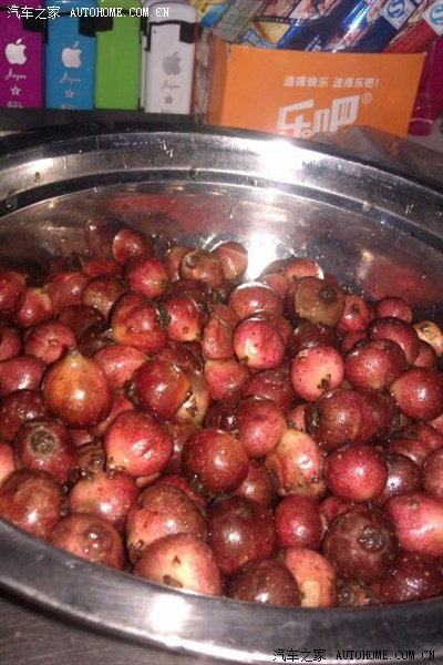 钓鱼爬地瓜_四川