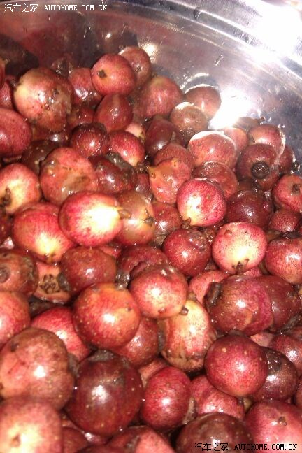 【图】钓鱼爬地瓜