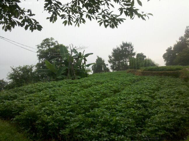 【图】家乡的美 家乡的水 家乡湿润的空气 心中