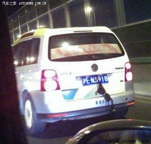 【图】算不算恶意遮挡车牌_上海论坛_汽车之