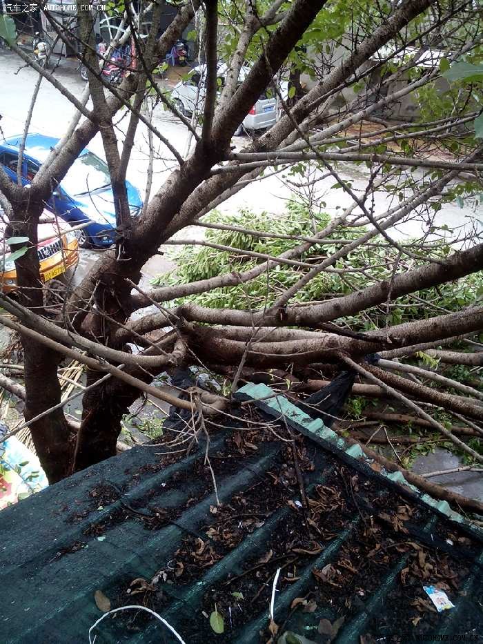 【图】台风啊!还没到就10级了,还好小丘没受伤