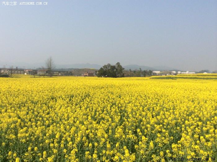 【图】南川水江一日游