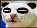 ���