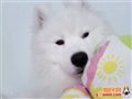 ���