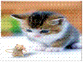���