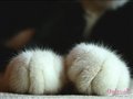 ���