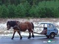 ���