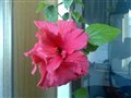 ���