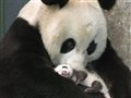 ���