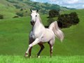 ���
