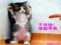 ���