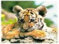 ���