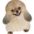 ���
