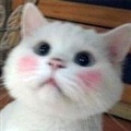 ���