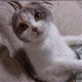 ���