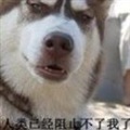 ���