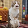 ���