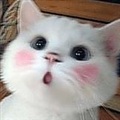 ���