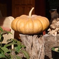 ���