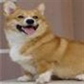 ���