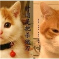 ���