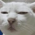 ���