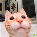 ���