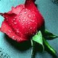 ���