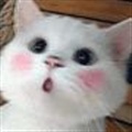 ���