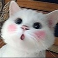 ���