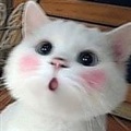 ���