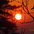 ���