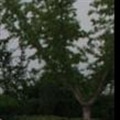���