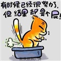 ���