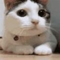 ���