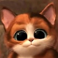 ���