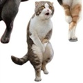 ���