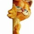 ���