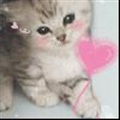 ���