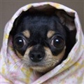 ���
