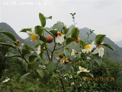 出差@文山】昆明-富宁-那坡-靖西(返回)-广南坝