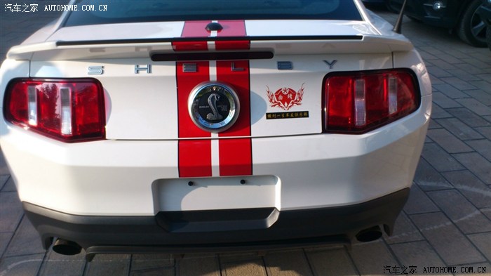 【图】新款福特 野马(眼镜蛇)_云南论坛_汽车之家论坛