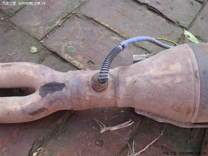 宝宝沉睡了几个月了,又该折腾折腾了.