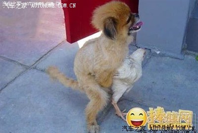 这姿势,这表情,这架势,好象还很爽的样子,我勒了个去,囧
