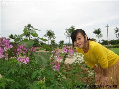 十一从化快活田心农家乐_广东