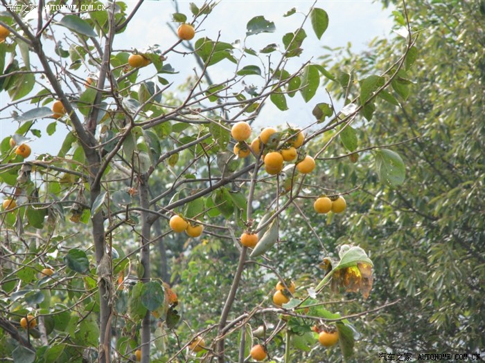 罗田天堂寨自驾游(美景图片欣赏)_笑看人生