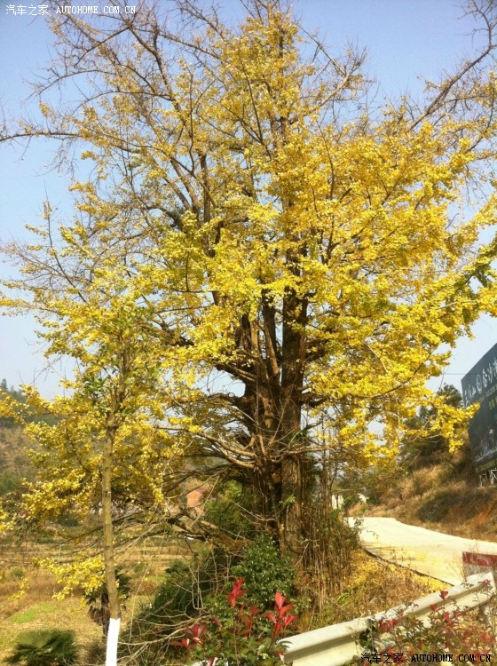 结婚一周年纪念送老婆的礼物--小白30I锋尚