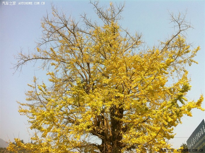 结婚一周年纪念送老婆的礼物--小白30I锋尚