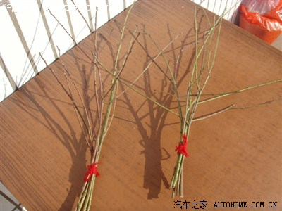 桃枝很容易明白,辟邪吗.